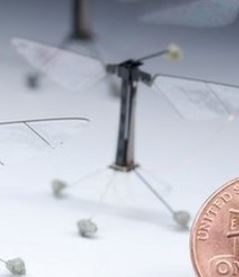 Meet Robo-Fly, the world’s smallest flying robot